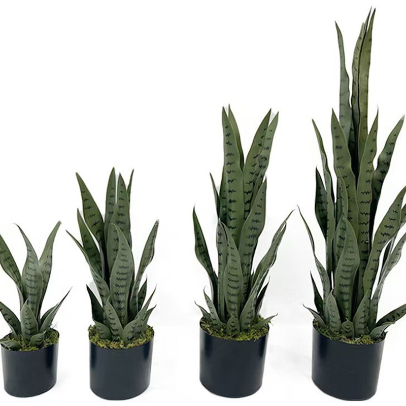 Pianta Artificiale Sansevieria - Desk Setup Plant recensione e prezzo